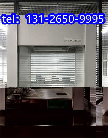 重慶無(wú)塵車(chē)間200潔凈工作臺(tái)