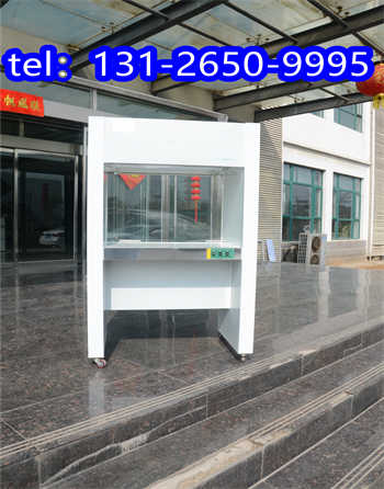200*100*800潔凈工作臺(tái)