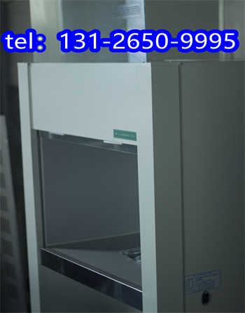 麗水醫(yī)用潔凈工作臺